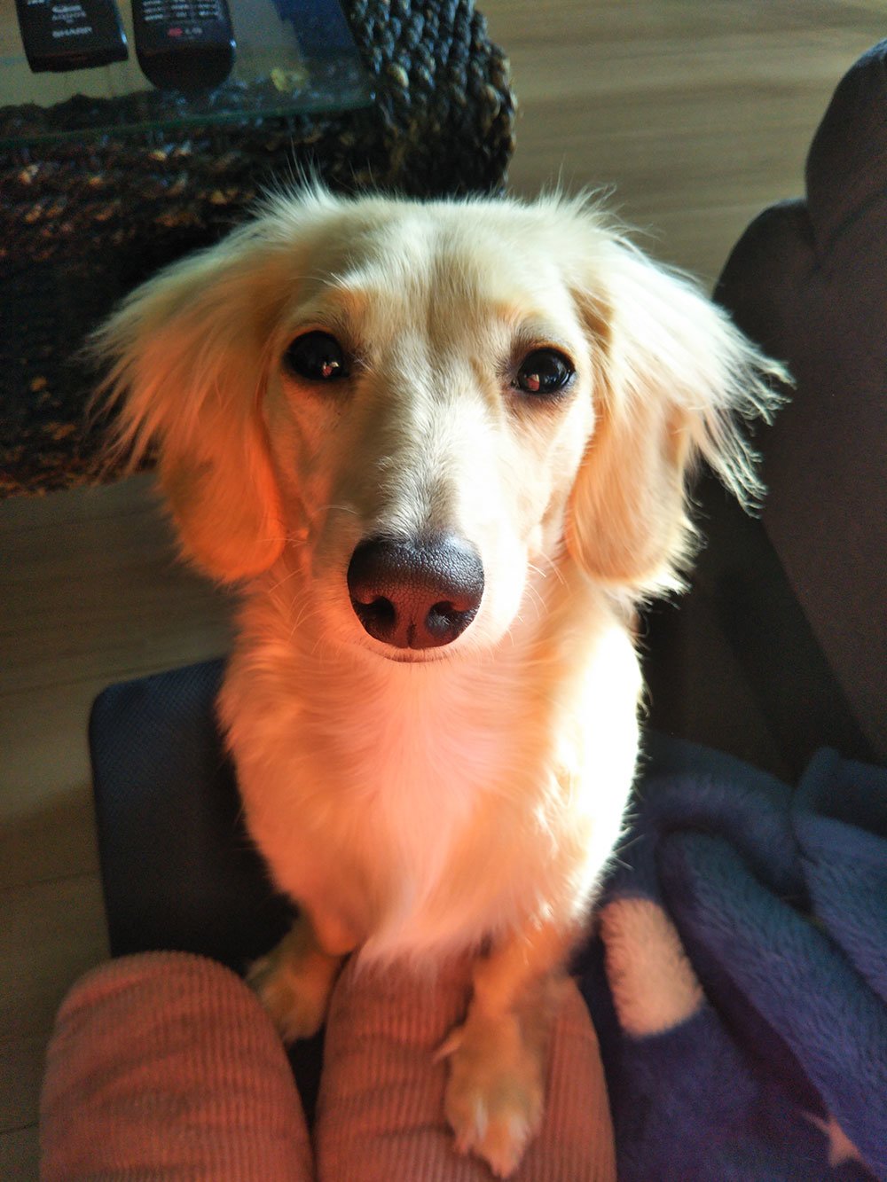 占い師愛琉のお気に入り写真1